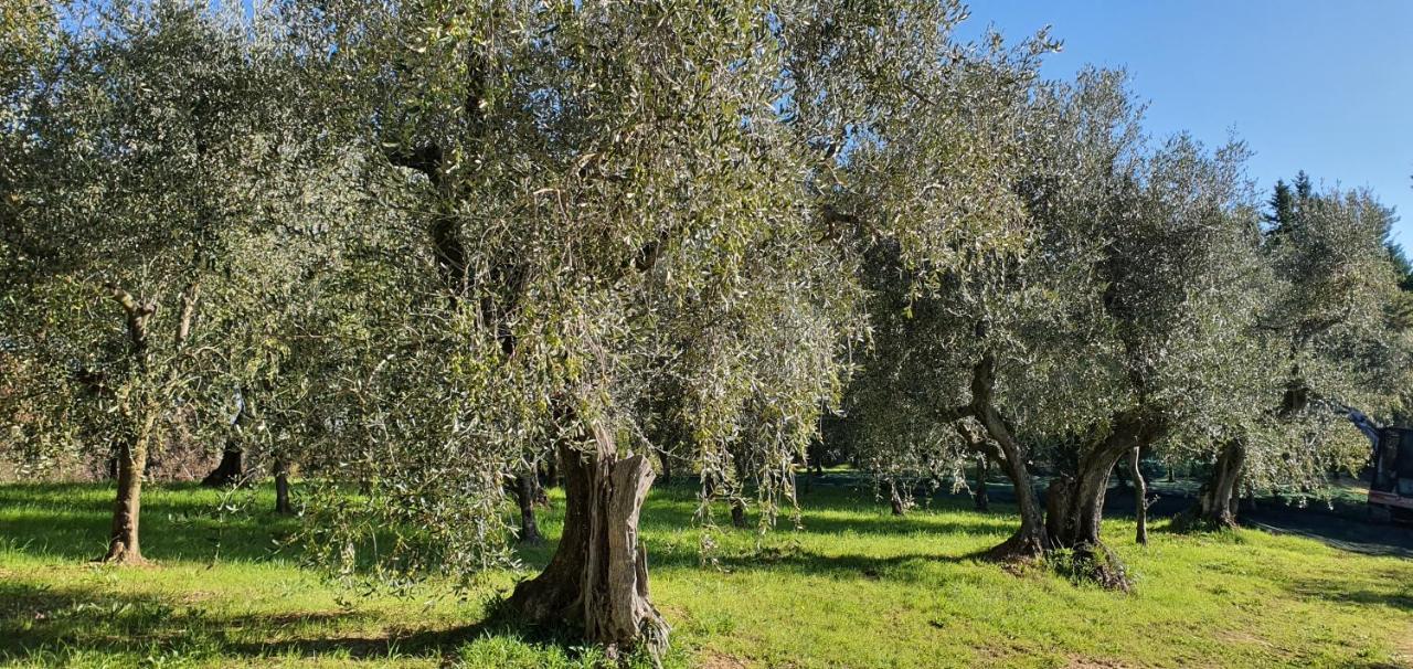 Commuoversi Ssa - Azienda Agricola Hotel Usigliano Exterior photo